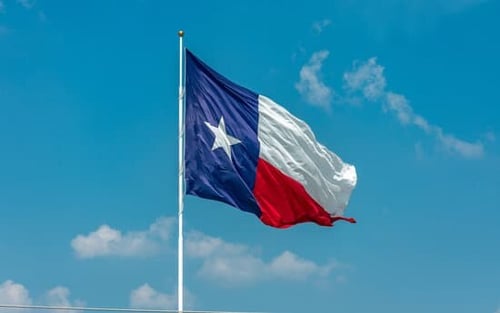 The Texas Flag