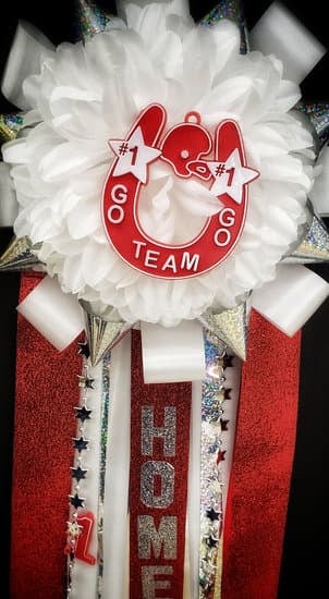 Texas Homecoming mum