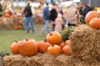 Pumpkins on straw bales at fair