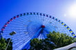 The Texas Star ferris wheel at the State Fair of Texas