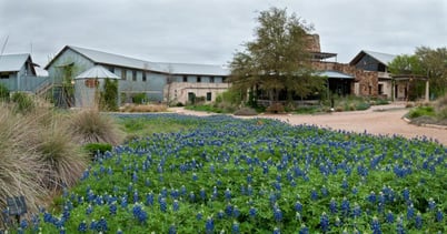 state_botanical_garden_lady_bird