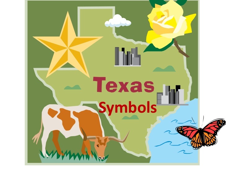 texas-symbols-1-1-728
