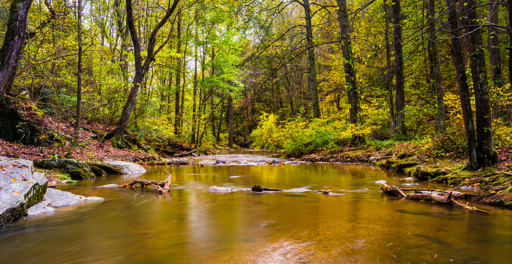 A creek at Rocks State Park, Maryland.