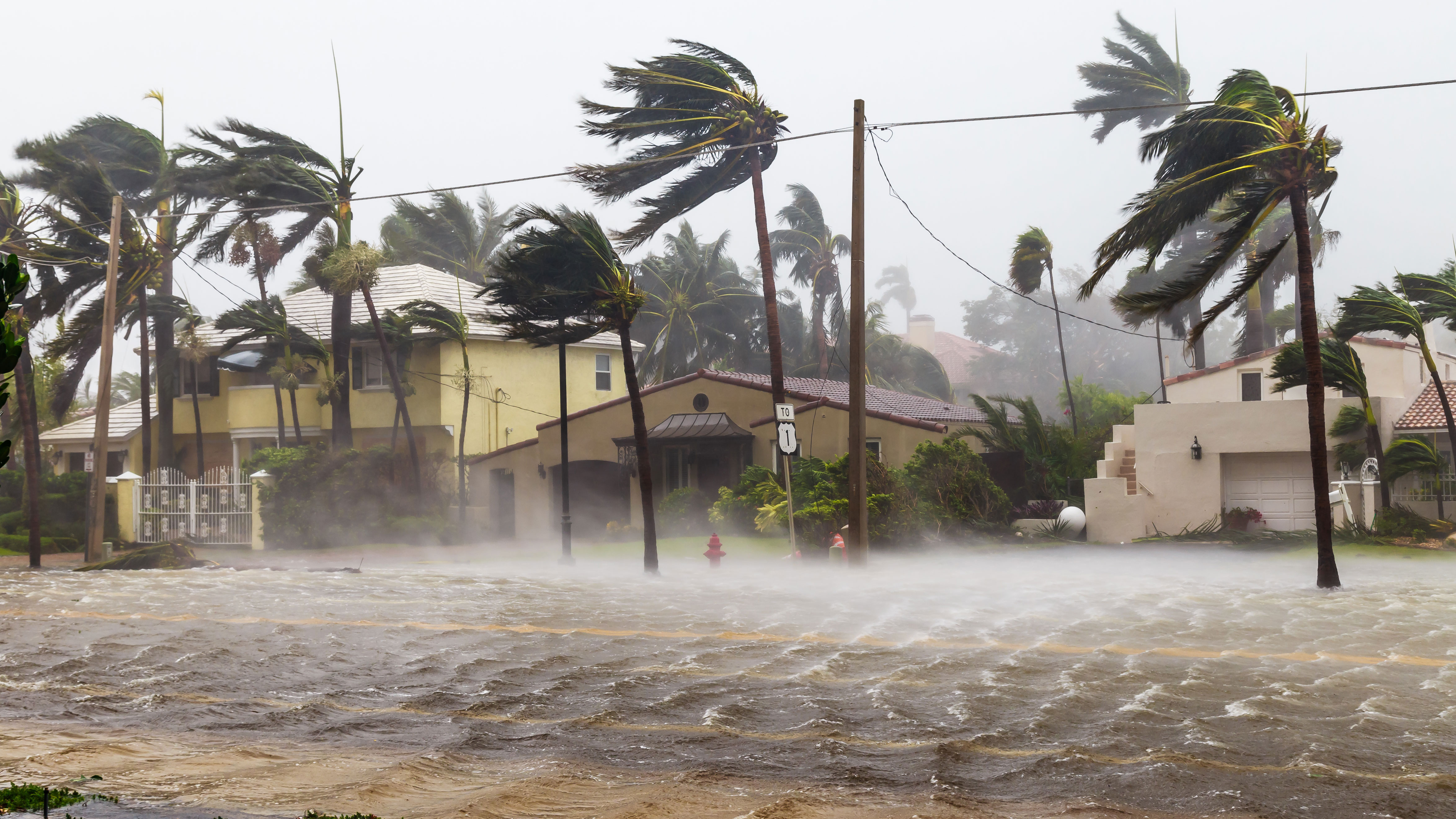 Preparing for Hurricane Season: City Continuity Plan