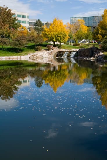 Pond with water fall