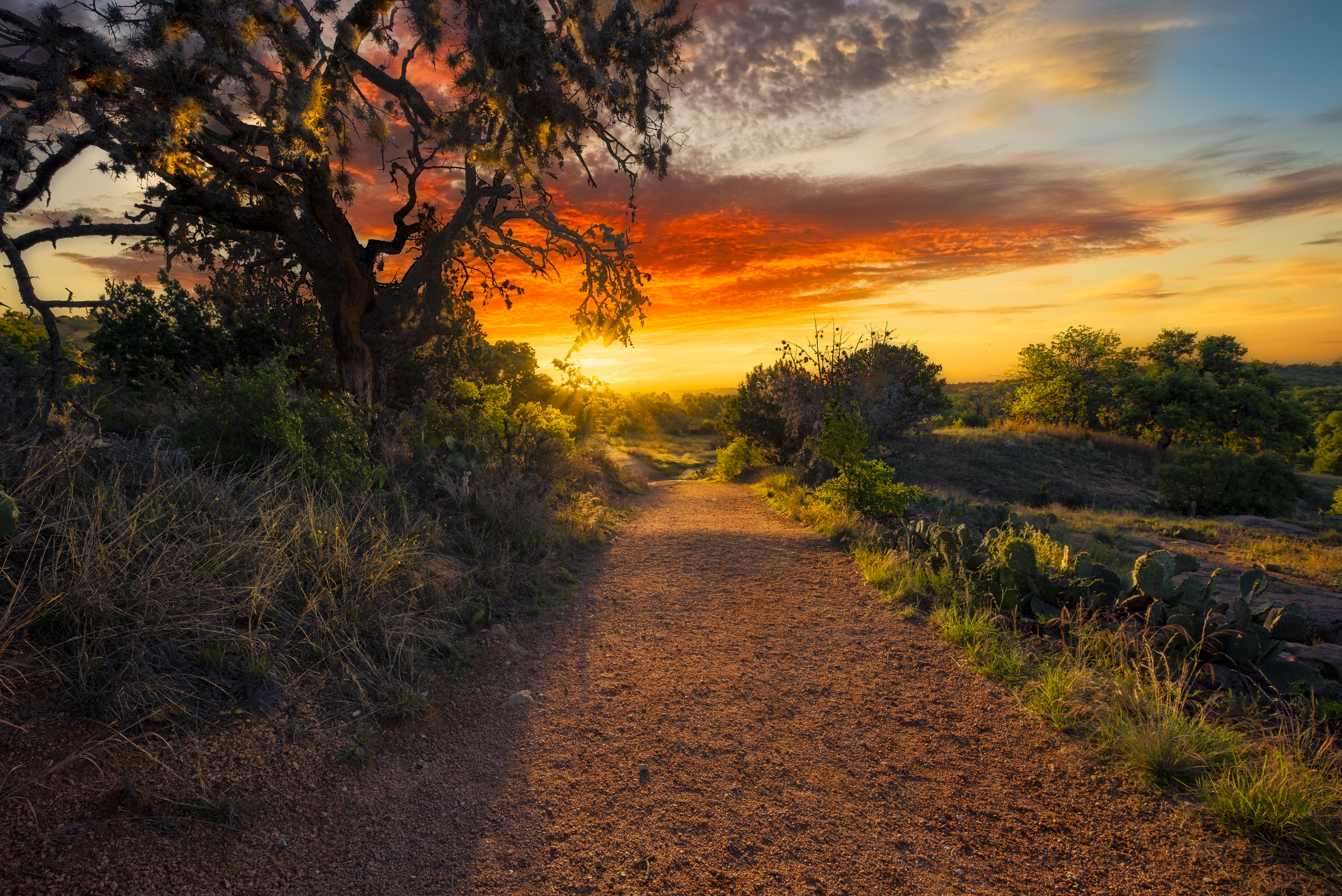 Stunning sunrise in Hill Country Texas