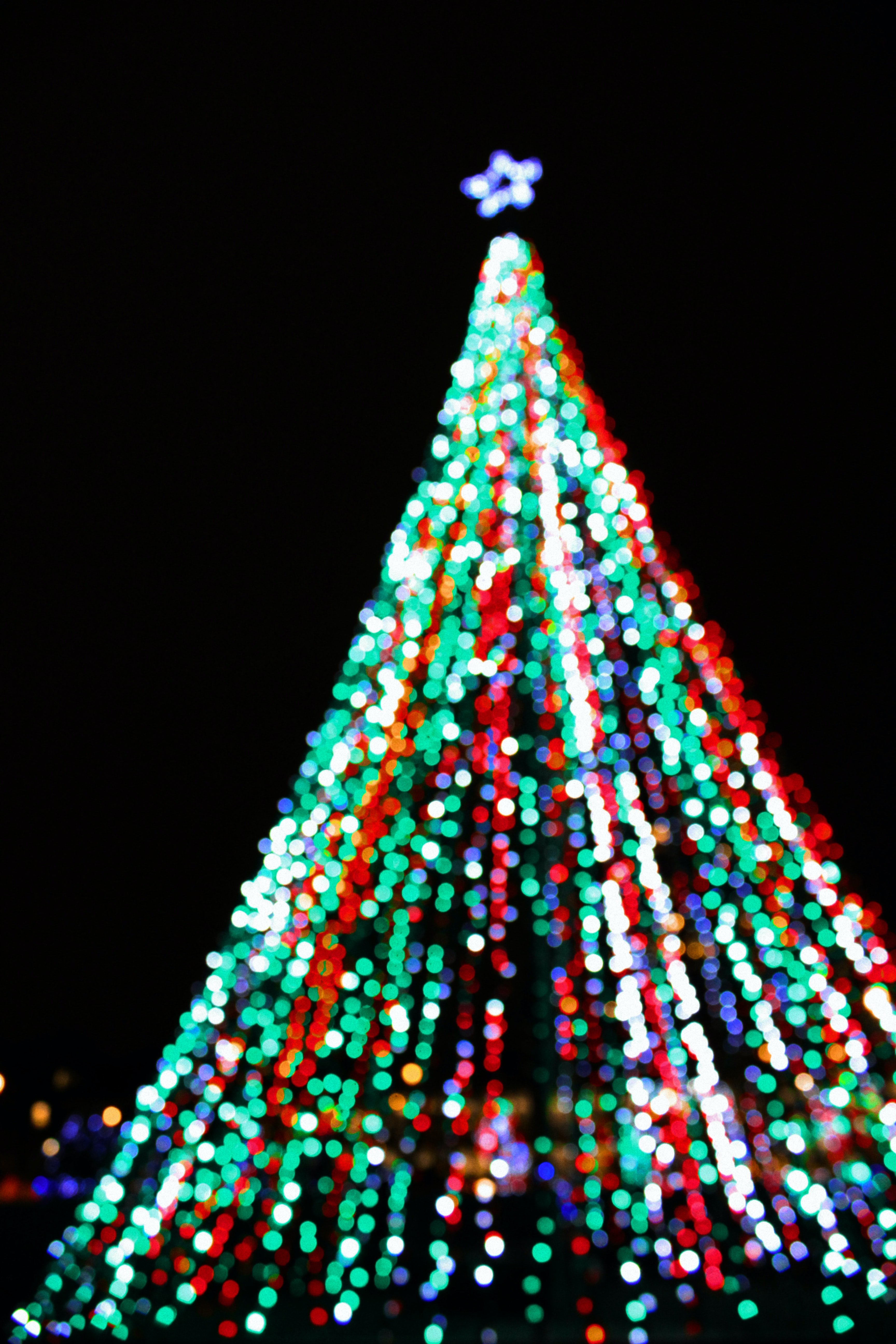 Christmas-Texas-Lights-TMLIRP